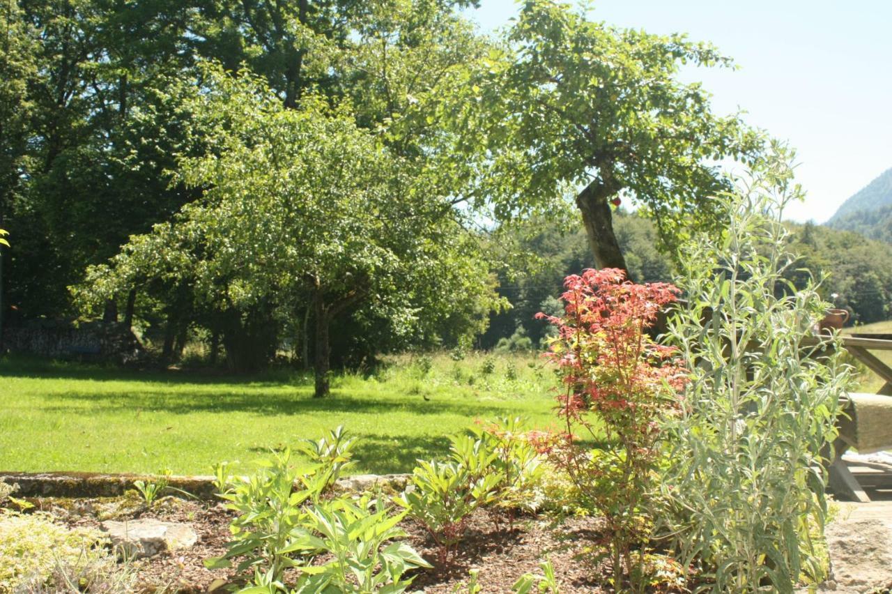 Landlust Ischl Bed & Breakfast Bad Ischl Luaran gambar