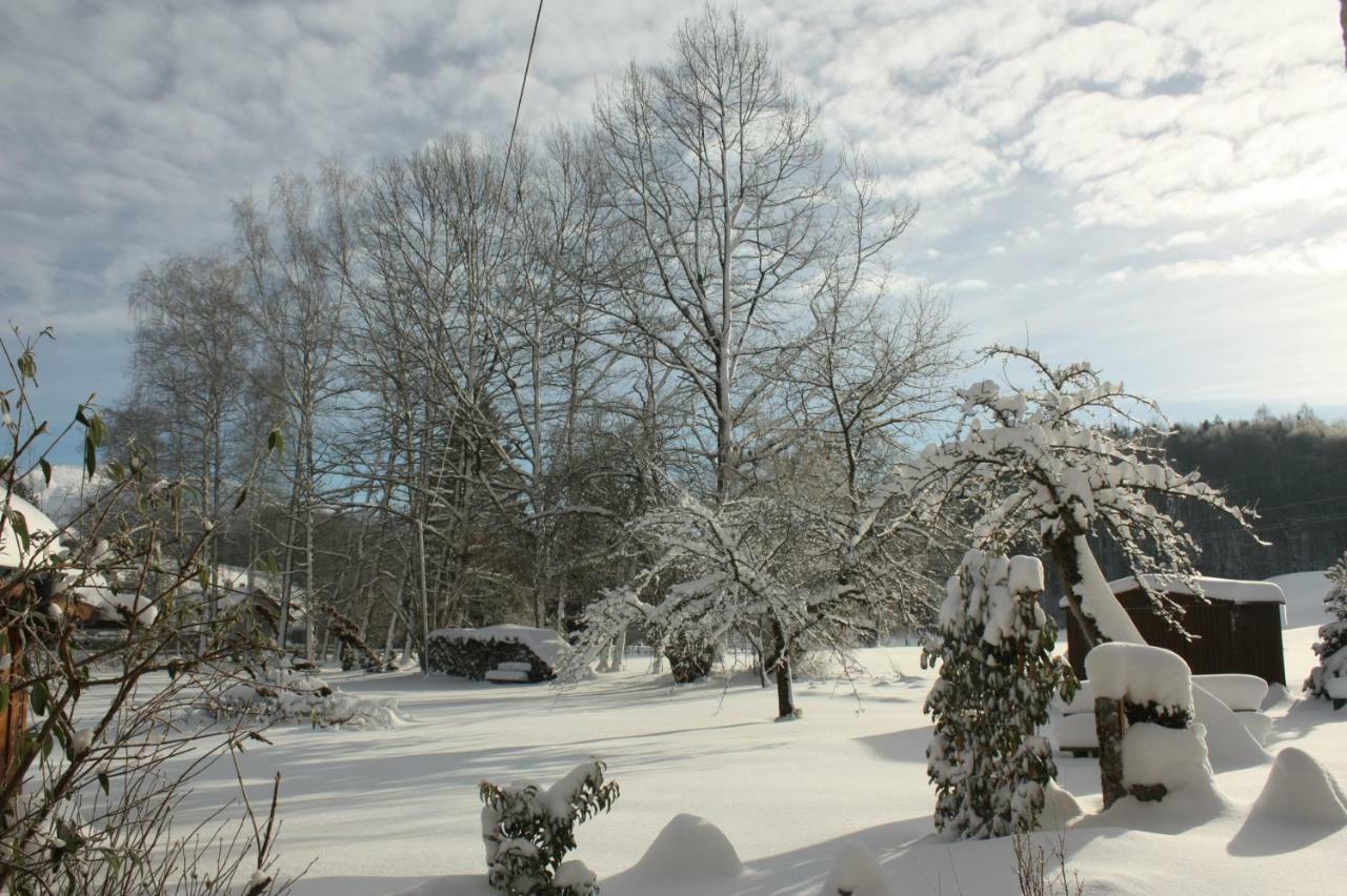 Landlust Ischl Bed & Breakfast Bad Ischl Luaran gambar